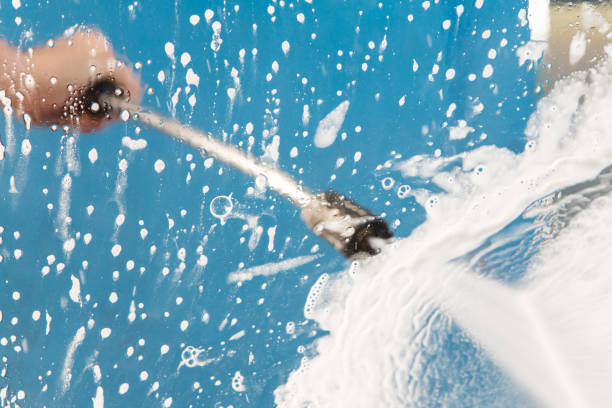 Animal Enclosure Cleaning in Macdonnell Heights, NY